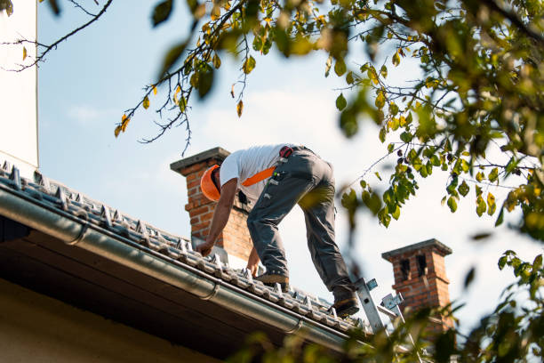 Best Roof Gutter Cleaning  in Rothsville, PA